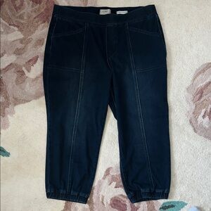 LOGO by Lori Goldstein Dark Blue Ankle Pull On Jeggings